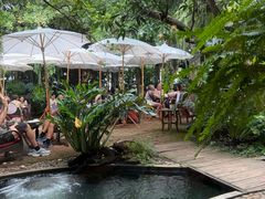 -Fern Forest Cafe
