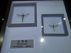 -上海昆虫博物馆
