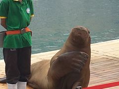 -北戴河圣蓝海洋公园