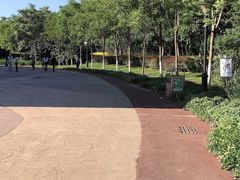 -绿岛公园(滨海新区)