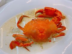 -有腥气私房菜·寻味顺德