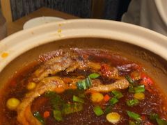 -7017浙菜•建德味(中财店)