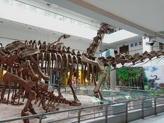 -中国地质大学逸夫博物馆