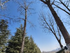 -汉长安城未央宫国家考古遗址公园