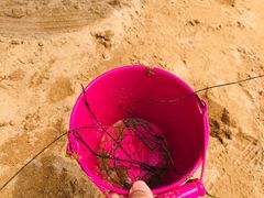 -青岛第三海水浴场