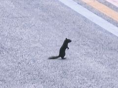 -牛背梁国家森林公园