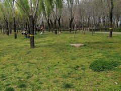 -洨河生态公园