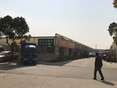-龙大花卉苗木市场