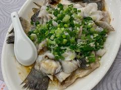 香葱淋鲈鱼-粤·向群饭店(龙津东路总店)