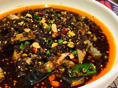 凉拌鸡-铁公鸡·四川料理(天环广场店)