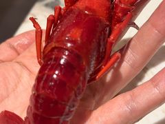 -王红军龙虾(新民路店)