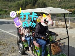 -大连铭湖国际观光牧场