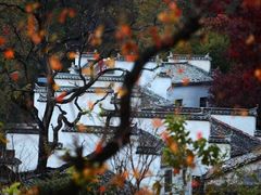 -塔川景区