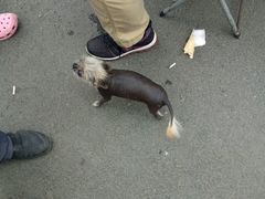 -哈尔滨文化公园