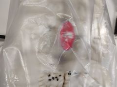 -白玉兰传统小吃