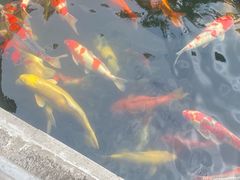 -西安市广仁寺