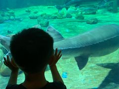 -华夏文旅海洋公园