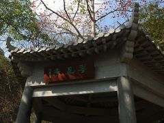 -羚羊峡古栈道森林公园