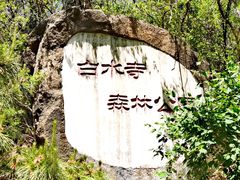 -白水寺森林公园