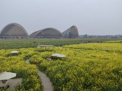 -中国天府农业博览园