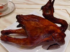 -稻香酒家·35年老字号(侨光店)