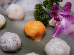 -禄婶鸡煲·打边炉