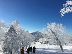 -大秃顶子山