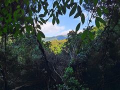 -海南霸王岭国家森林公园