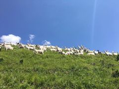 -北京灵山风景区