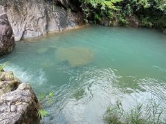 -广州白江湖森林公园