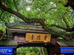 -肯德基(惠州龙门店)