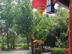 -中卫御苑福膳·养生局(圆明园店)