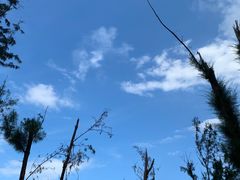 -西涌国际滨海旅游区