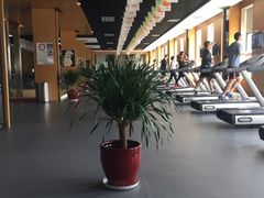 -蓝积木健身中心(高新店)