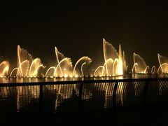 -武清南湖绿博园