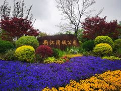 -新江湾城公园