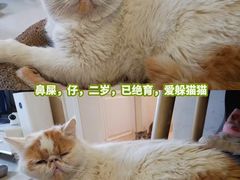 -江南西(地铁站)