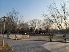 -望湖公园