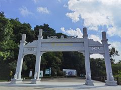 -羚羊峡古栈道森林公园