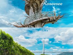 -芒洲湿地公园