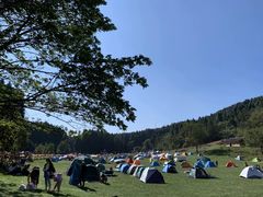 -武陵山森林公园