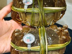 -阳澄湖半岛旅游度假区