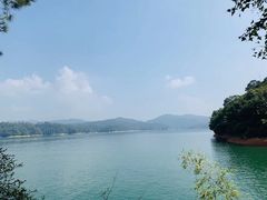 -广州市流溪河国家森林公园