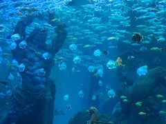 -哈尔滨波塞冬海底世界