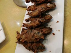 -小北江河鲜(新城店)