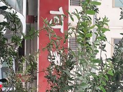 -何家壮馍店(南关总店)