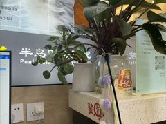 -半岛宠物医院24小时(西派城店)