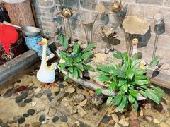-阿嫂印象·民间江湖菜(大学城店)