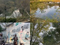 -西溪国家湿地公园