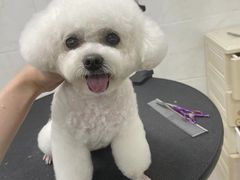 -创凡宠物医院·骨专科  猫科中心(西乡分院)
